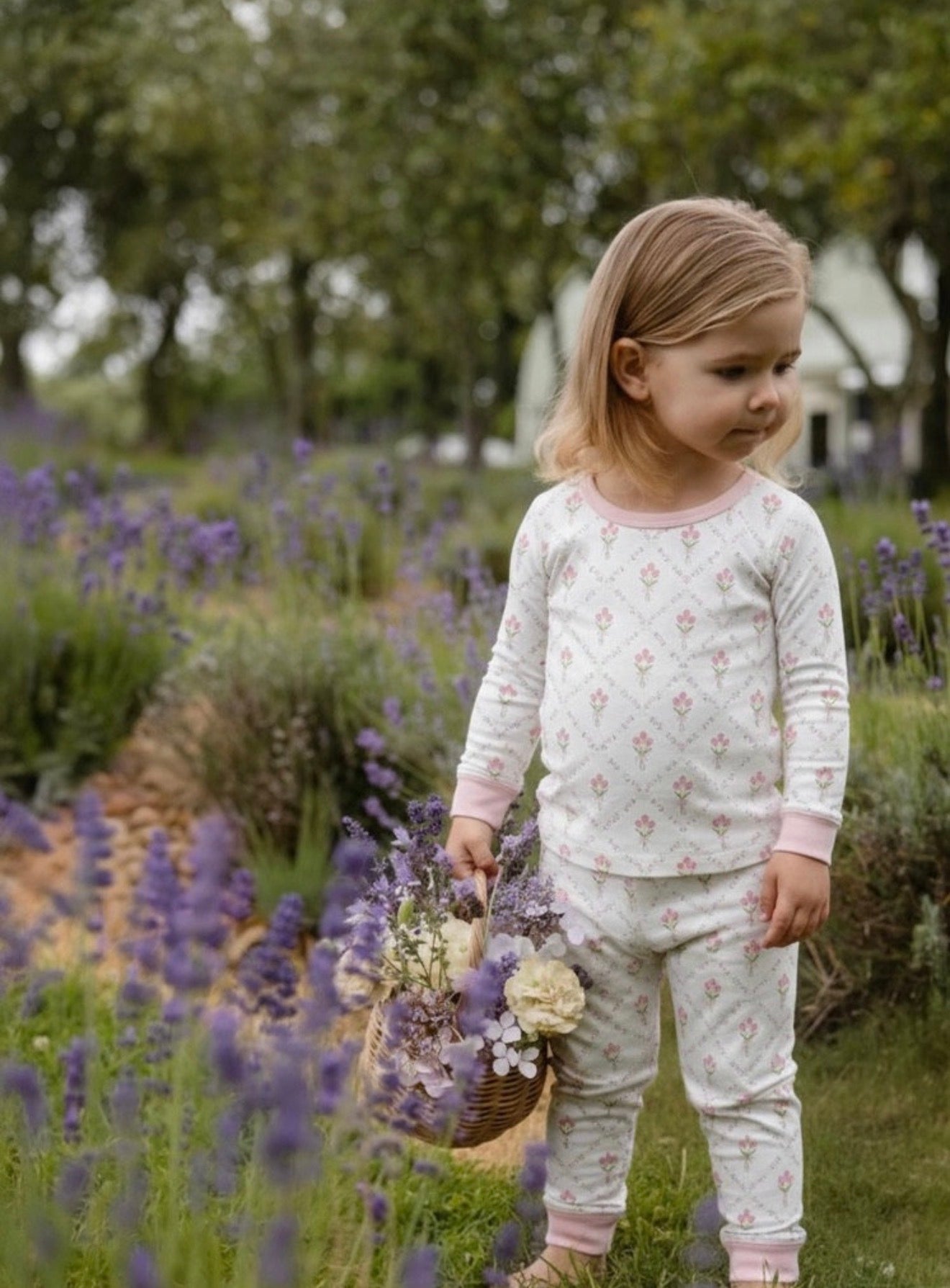Petite Moon Pink Garden